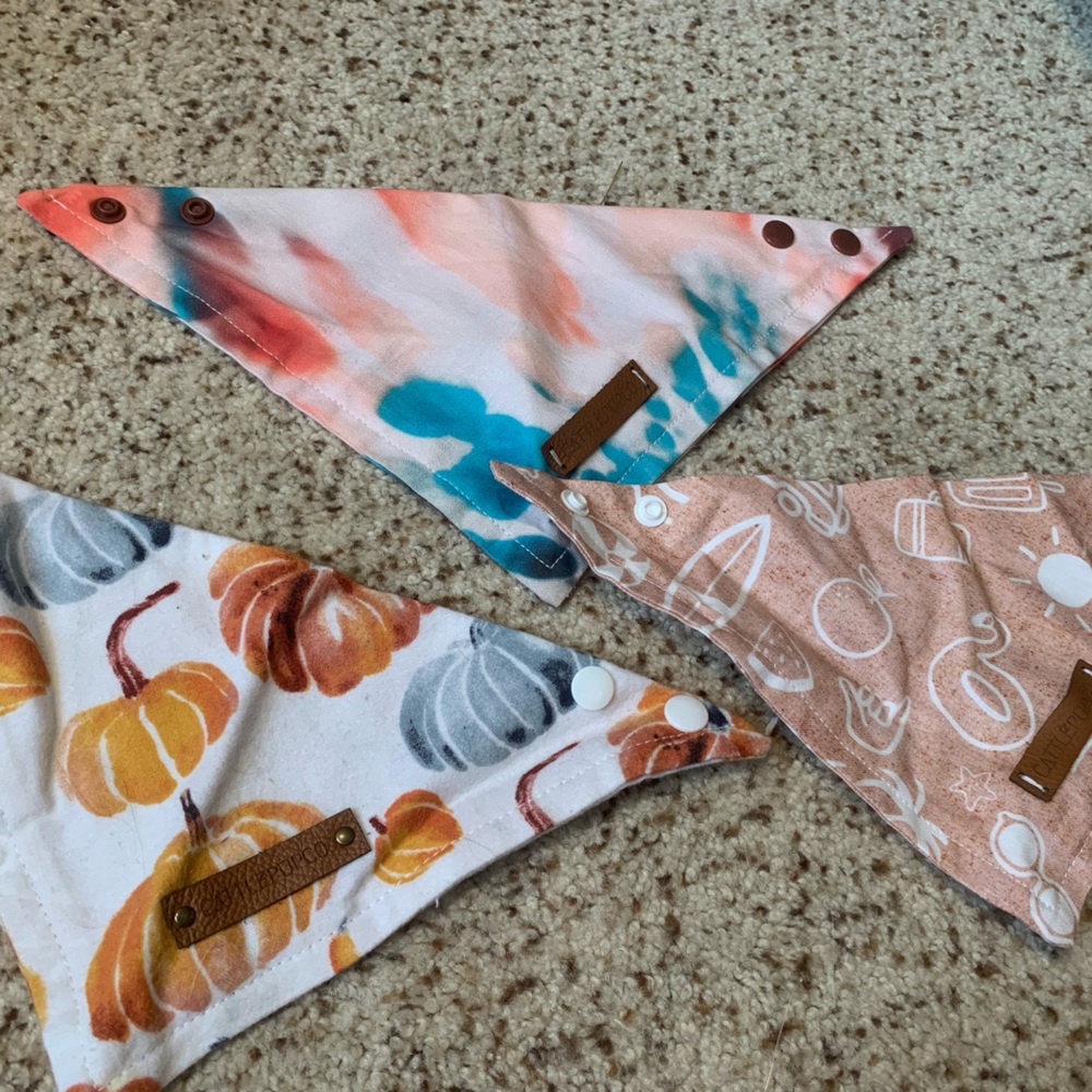 XS dog bandannas